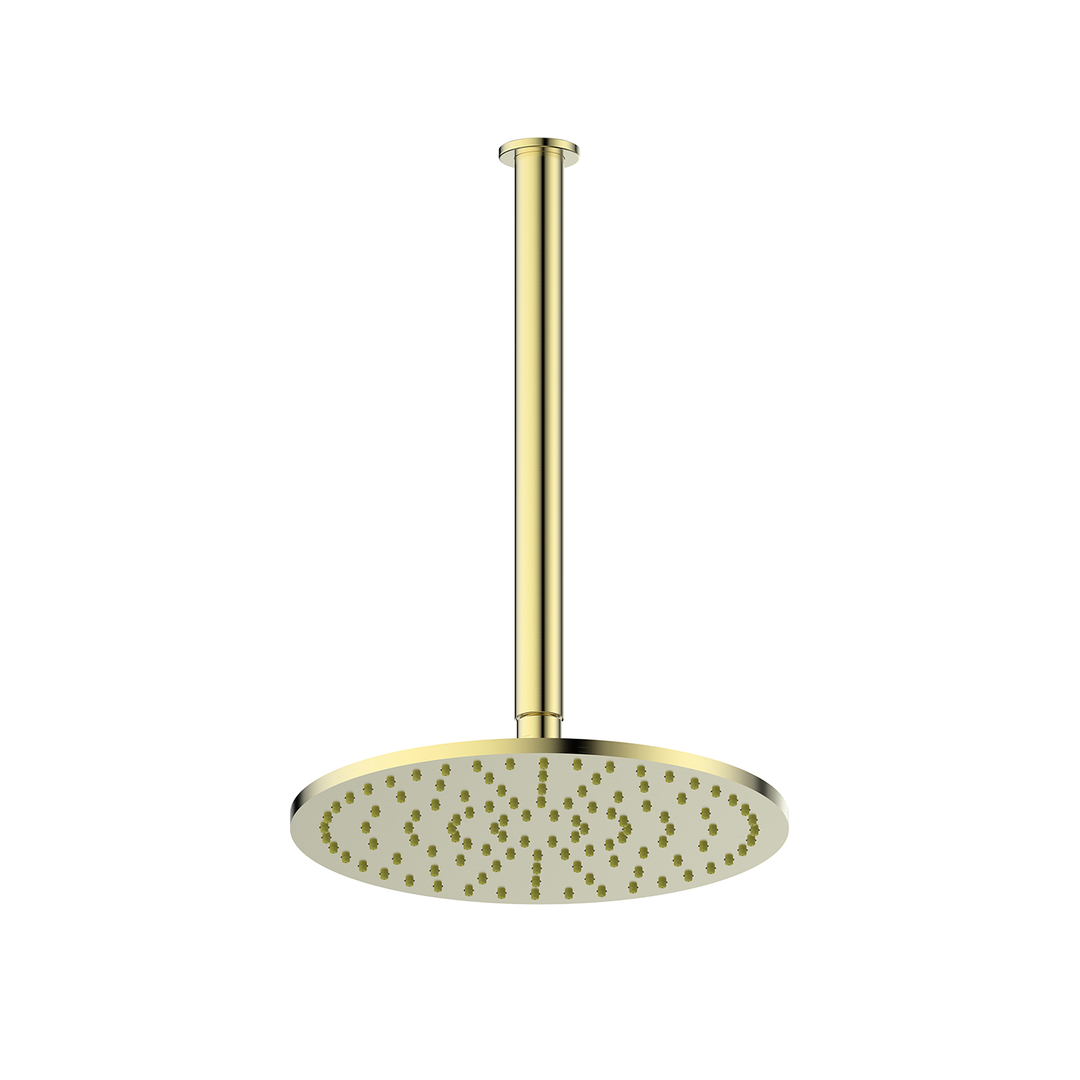 Greens Lavish Brass Ceiling Shower Pvd Brushed Brass