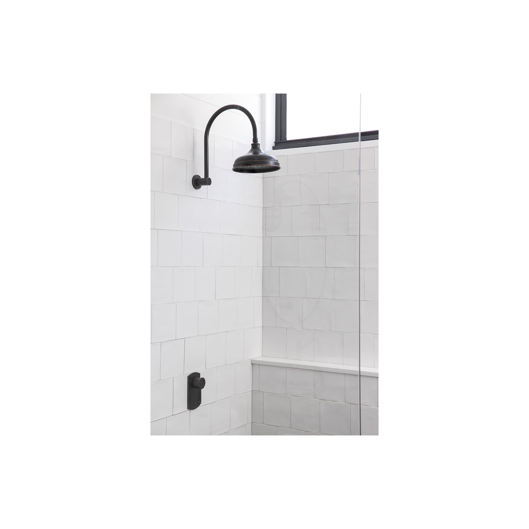 Phoenix Nostalgia Vintage Shower Arm & Rose - Antique Black