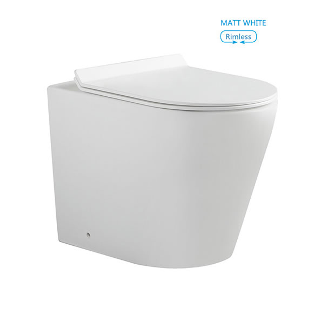 Bnk Inwall Toilet Wall Hung Pan Universal Installation Rimless Matte White