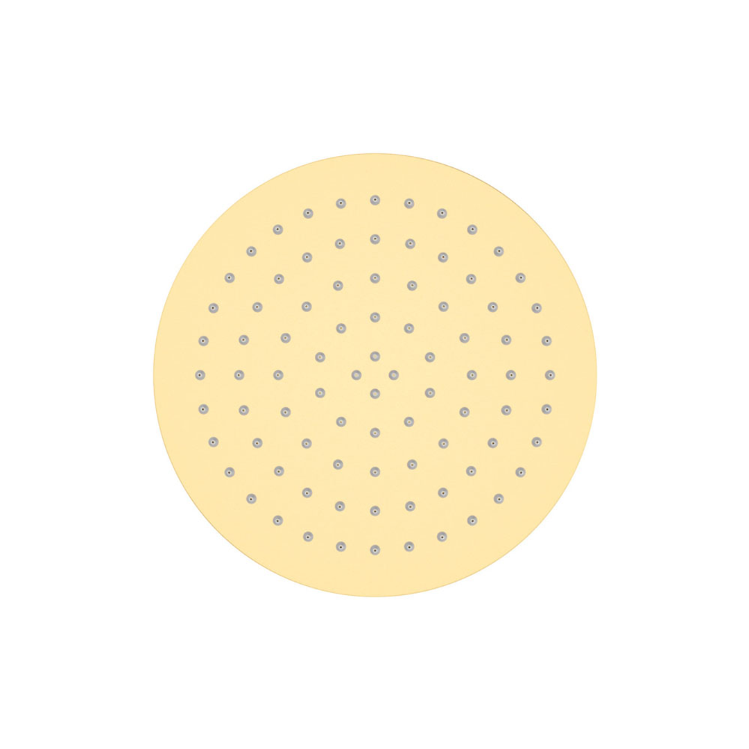 Fienza Kaya Round Shower Head 250mm Urban Brass