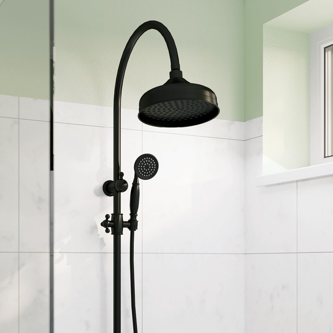 Fienza Lillian M/Funct Twin Shower Rail Matte Black 455114B