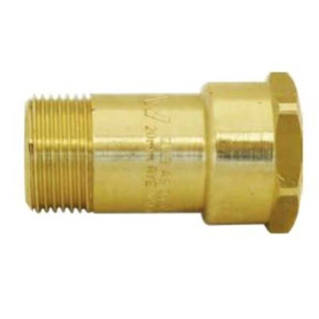 Dual Check Valve Low Hazard
