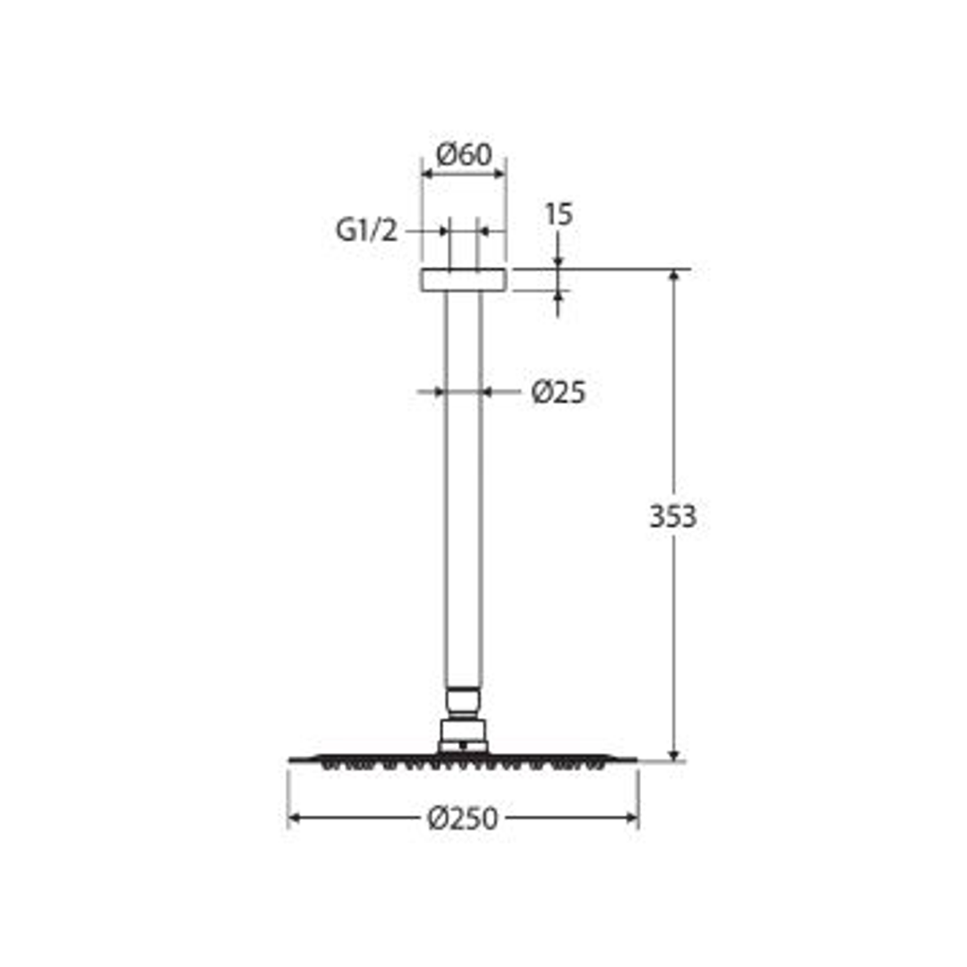 Fienza Kaya Shower Ceiling Dropper Set - Matte Black