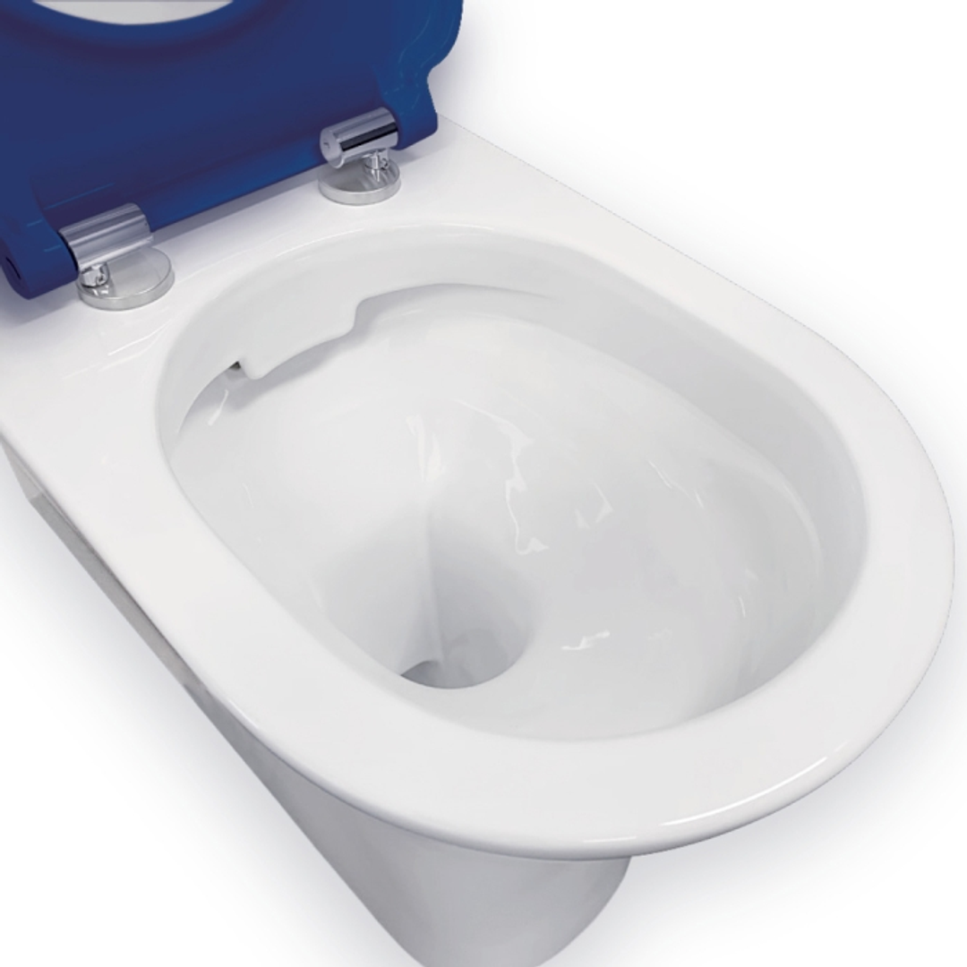 FIENZA DELTA CARE BACK TO WALL TOILET SUITE BLUE SEAT RAISED BLUE BUTTONS K013A