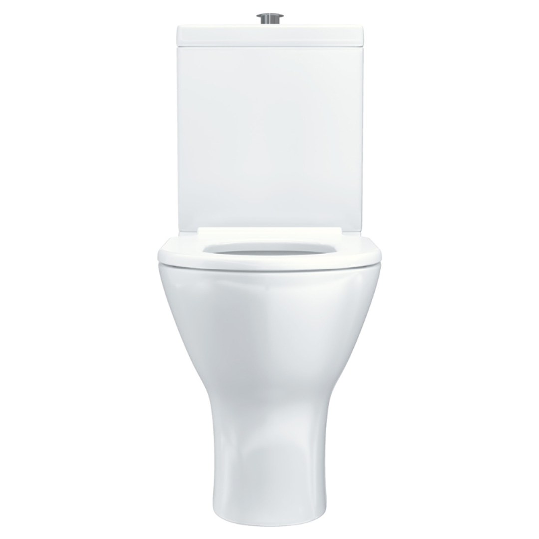Fienza Delta Care Back To Wall Toilet Suite White Single Flap Seat Raised Buttons K013Wa