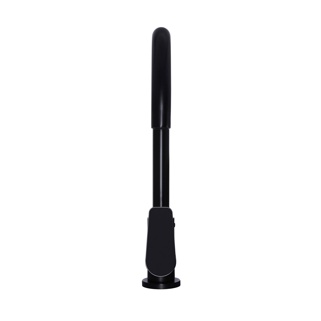 Meir Round Paddle Gooseneck Kitchen Mixer Tap Matte Black