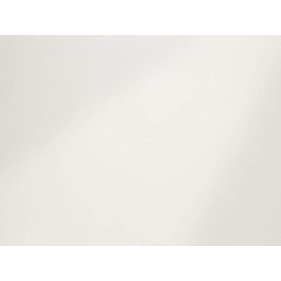 Mr Wet Wall White Gloss Wall Panel 2400X1000X10Mm Wwaus008