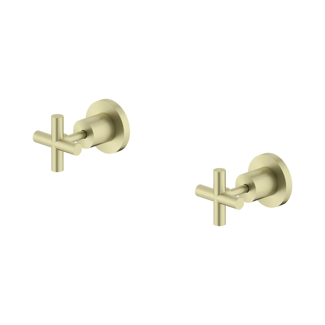 Nero X Plus Wall Tops Assembly Brushed Gold