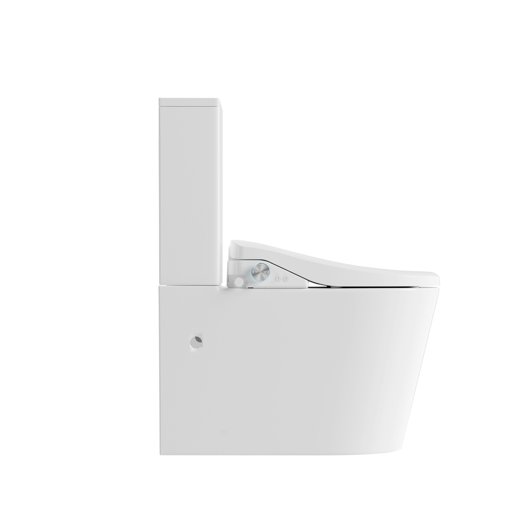 Lafeme Catania Bidet Seat With Vega Tornado Rimless Toilet
