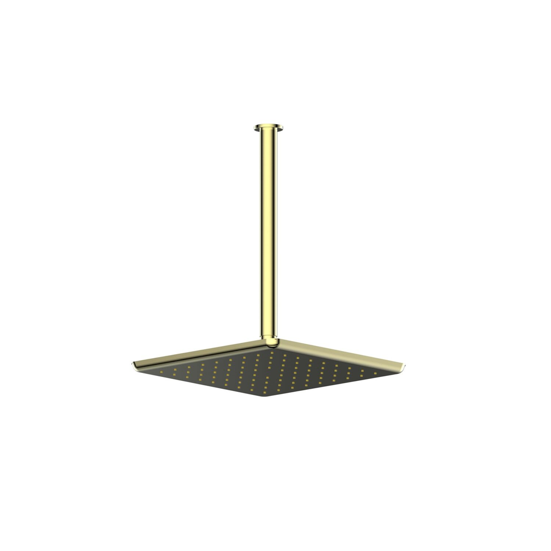 Greens Skyla Ceiling Shower Pvd Brushed Brass