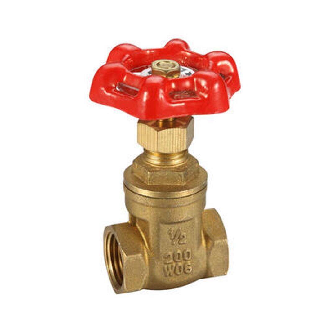 Gate Valve Untested
