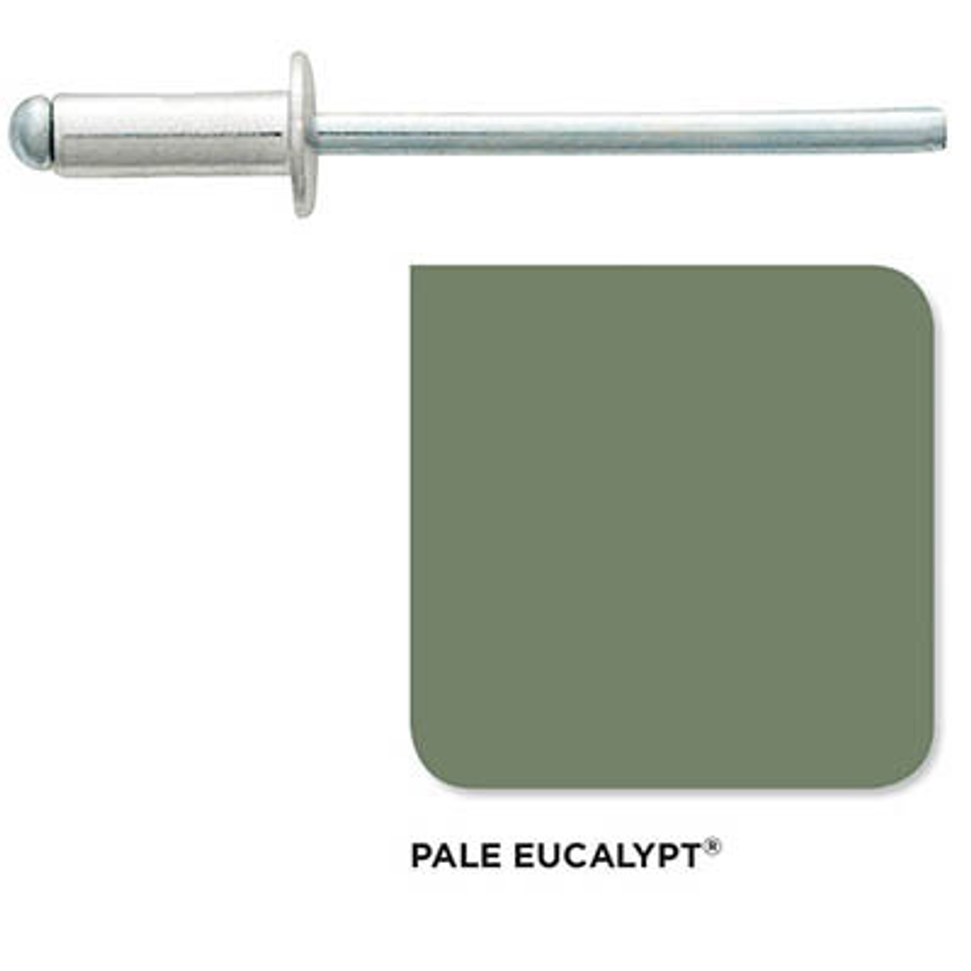 Blind Rivets 4-3 (3.2x4.8) (1000 Pack) Colorbond