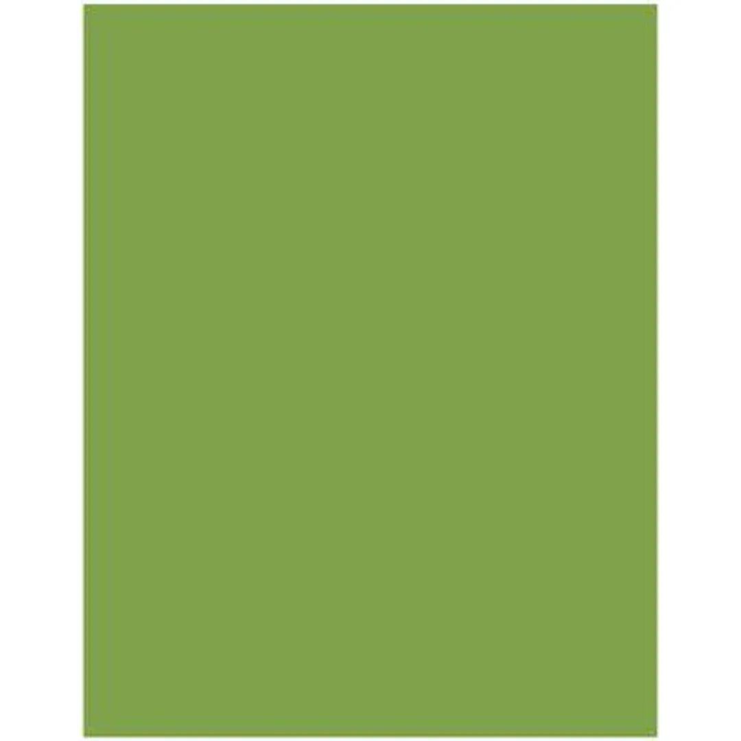 Akril Gloss Sheet 1220mm X 2440mm X 6mm Splashback Olive Grove - Burdens Plumbing