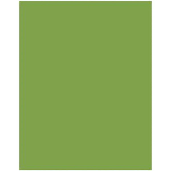 Akril Gloss Sheet 1220mm X 2440mm X 6mm Splashback Olive Grove - Burdens Plumbing