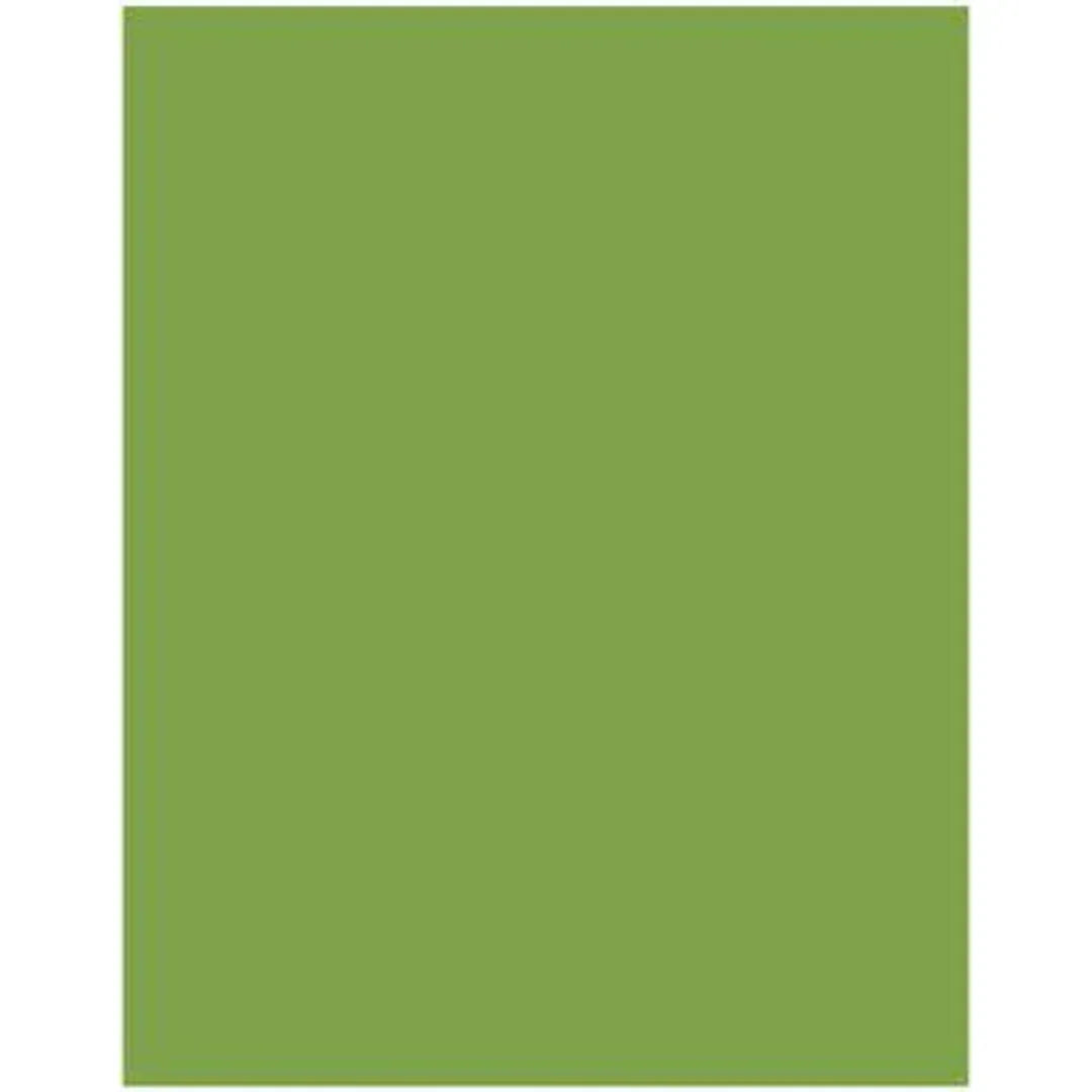 Akril Gloss Sheet 1220mm X 2440mm X 6mm Splashback Olive Grove - Burdens Plumbing