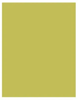 Akril Gloss Sheet 920mm X 2000mm X 6mm Splashback Lemongrass - Burdens Plumbing