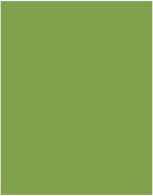 Akril Gloss Sheet 920mm X 2000mm X 6mm Splashback Olive Grove - Burdens Plumbing