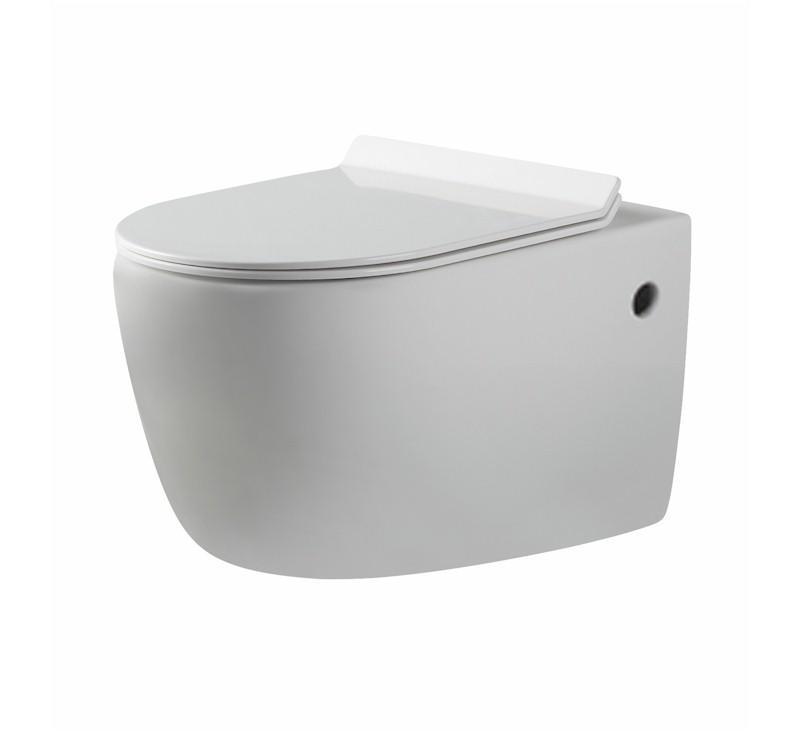 Alexander Rimless Nanoglaze Wall Hung Pan - Burdens Plumbing