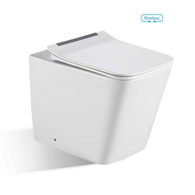 Bnk Naga Bl-103N-Fst Rimless Wall Faced Pan Only - Burdens Plumbing