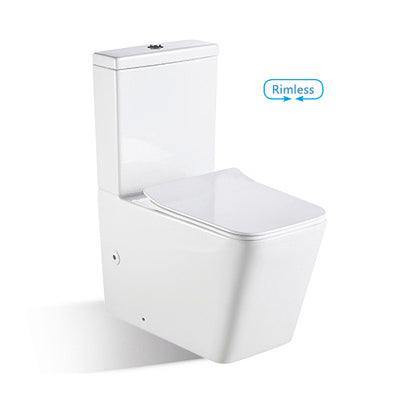 Bnk Naga Bl-103N-Tpt Rimless Back To Wall Toilet Suite - Burdens Plumbing