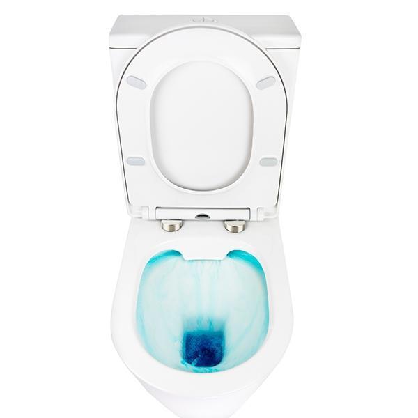Decina Renee Rimless Wall Faced Toilet Suite - Burdens Plumbing