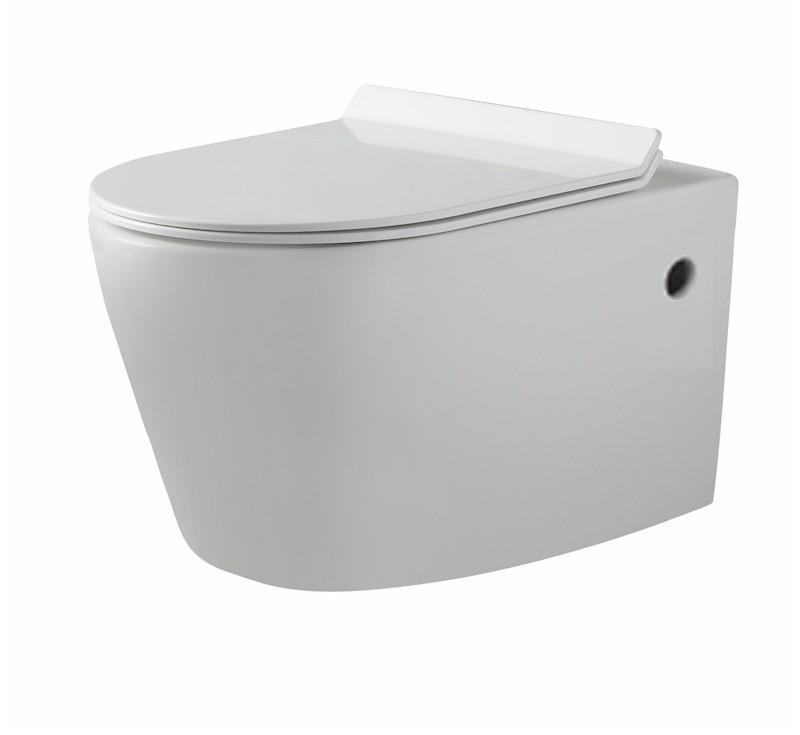 Flay Rimless Nanoglaze Wall Hung Pan - Burdens Plumbing