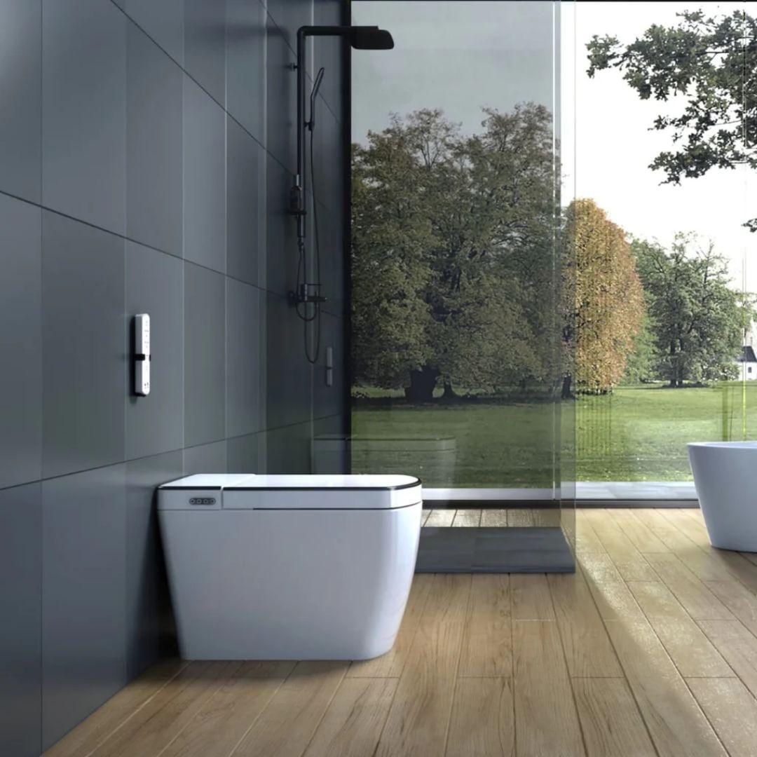 Lafeme Lucci Entire Smart Toilet 650X400X450mm - Burdens Plumbing