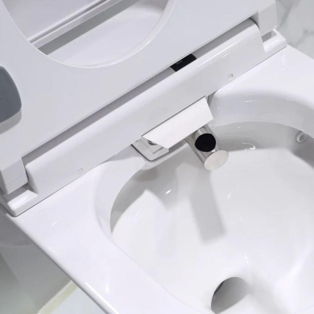 Lafeme Lucci Entire Smart Toilet 650X400X450mm - Burdens Plumbing