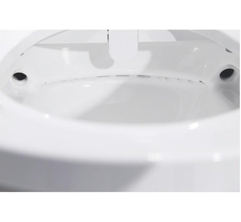 Lafeme Medina Bidet Toilet Seat With Uv Bacteriostasis - Burdens Plumbing
