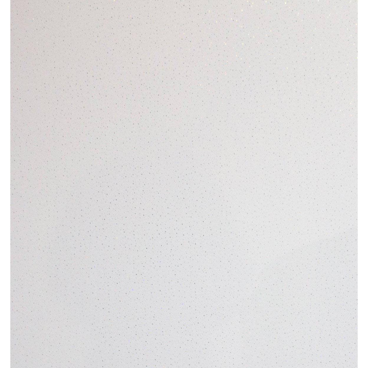 Mr. Wet Wall White Zodiac Gloss Wall Panel 2400X1000X10mm - Burdens Plumbing