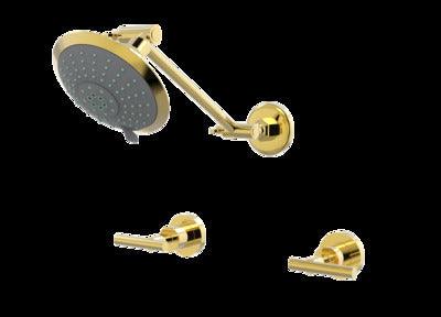 PAR PORTSEA LEVER SHOWER SET GOLD (B29.031.3.11) - Burdens Plumbing