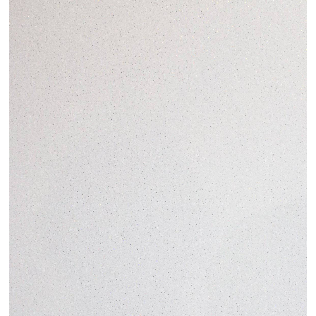 Mr. Wet Wall White Zodiac Gloss Wall Panel 2400X1000X10mm