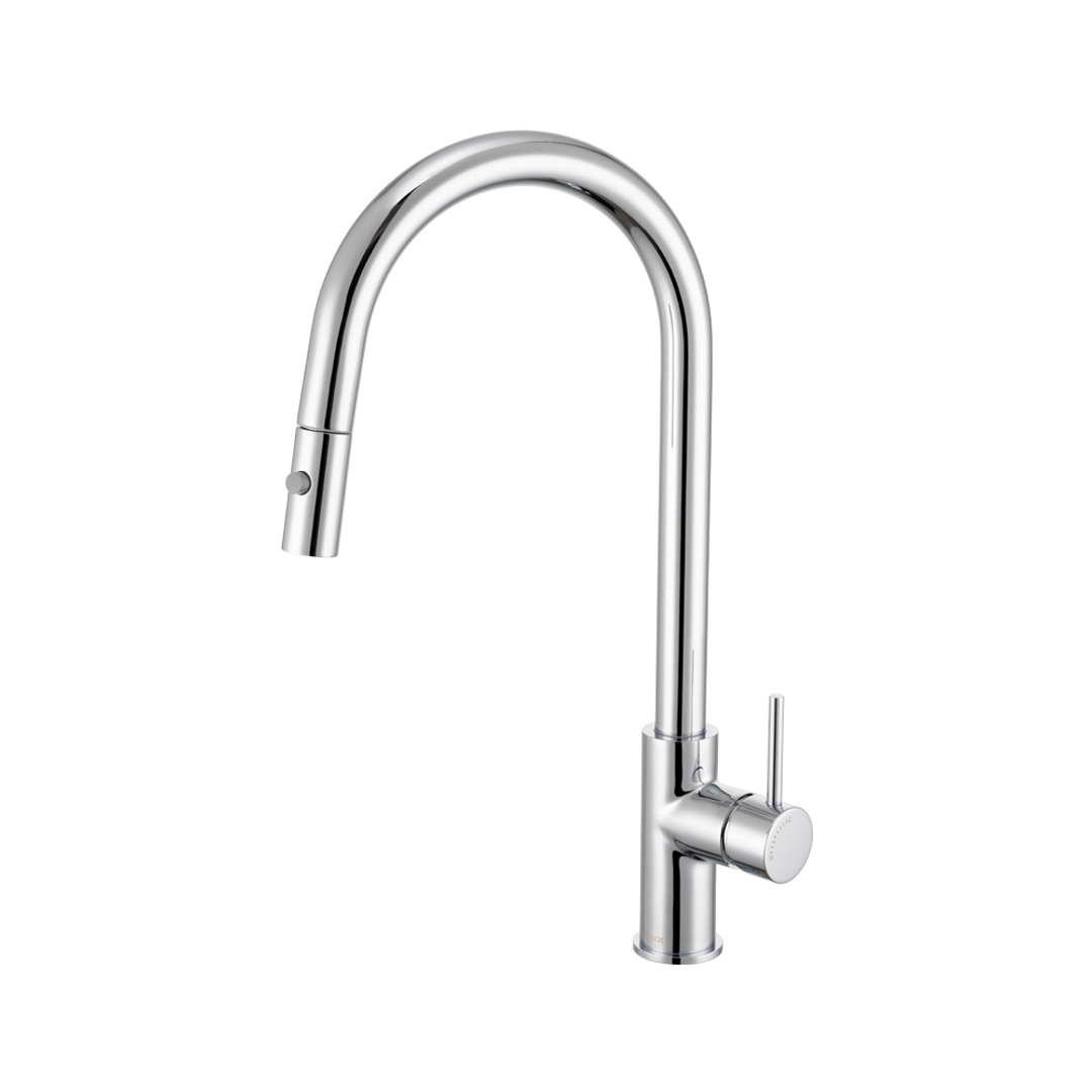 Brasshards Mixx Anise Plus Pull Out Sink Mixer Chrome Lead Free