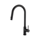 Brasshards Mixx Anise Plus Pull Out Sink Mixer Matt Black Lead Free