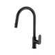 Brasshards Mixx Saffron Pull Out Sink Mixer Matt Black Lead Free