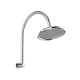 Phoenix Wiltern High Rise Shower Arm & Rose Chrome