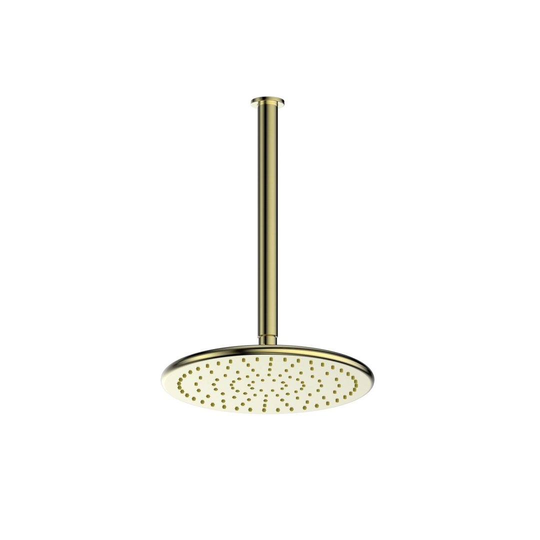 Greens Rocco Ceiling Shower Brushed Brass