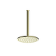 Greens Rocco Ceiling Shower Brushed Brass