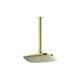 Greens Corban Ceiling Shower Pvd Brushed Brass