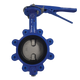Lever Handled Lugged Butterfly Valve Table E