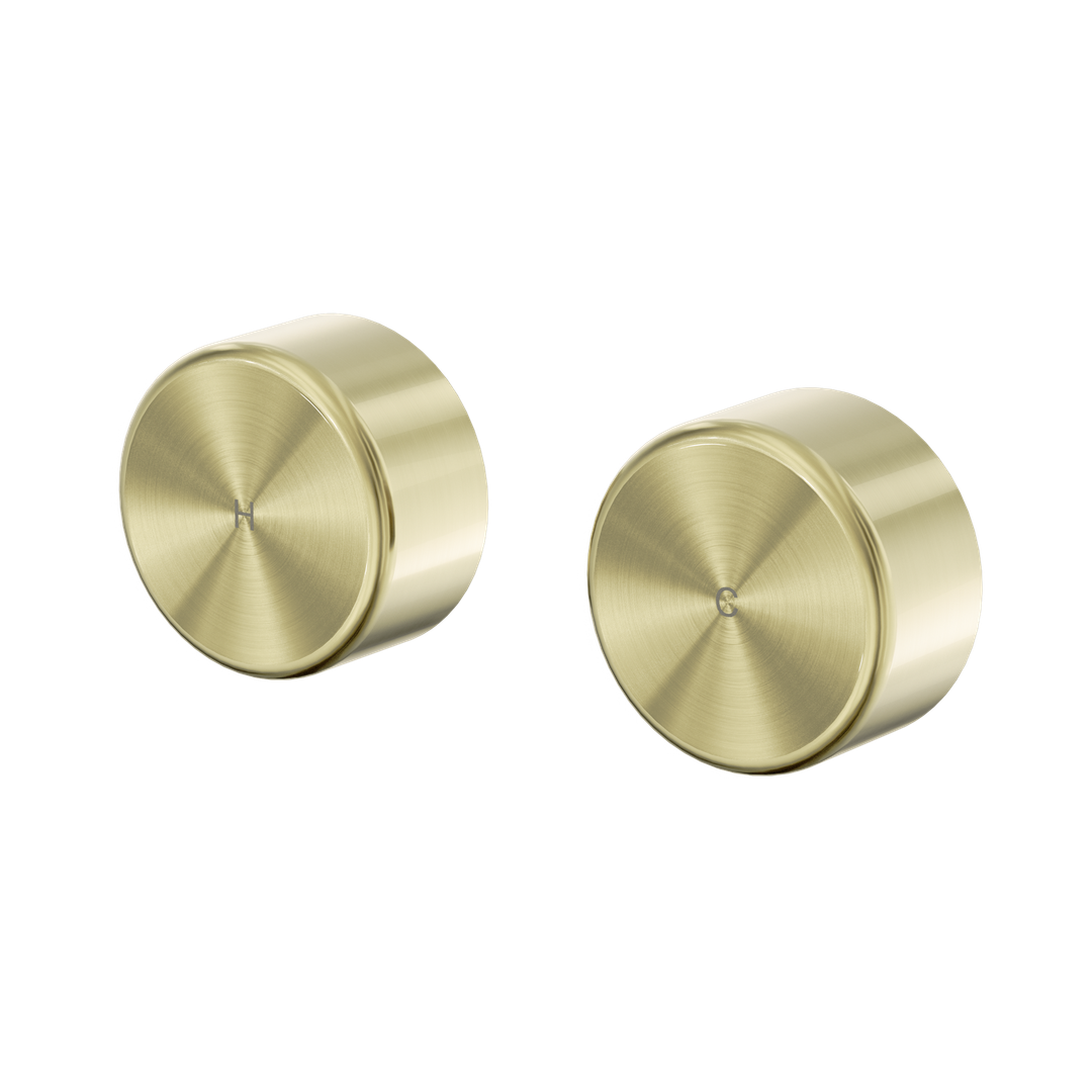 Nero Serenity Wall Top Assembly With Metal Handle Brushed Gold