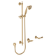 Fienza Lillian Lever Rail Shower Set Urban Brass