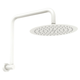 Fienza Kaya Gooseneck Shower Arm Set Matte White