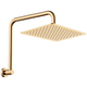 Fienza Tono Gooseneck Shower Arm Set Urban Brass