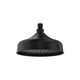 Fienza Lillian Shower Head Matte Black