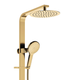 Fienza Kaya Deluxe Twin Shower Sus304 Urban Brass