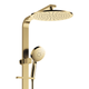 Fienza Empire Slim Deluxe Twin Shower Sus304 Urban Brass