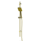 Greens Glide Syntra Rainboost Rail Shower Pvd Brushed Brass