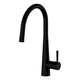 Greens Galiano Pull Down Sink Mixer - Matte Black