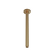 Aspire Air 300mm Shower Ceiling Arm Brushed Brass